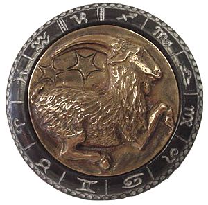 Capricorn