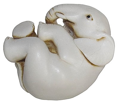 Elephant Palm Charm