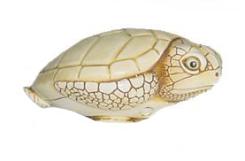 Turtle Palm Charm