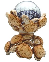 Turtle Delight
