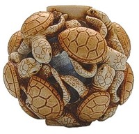 Turtle Delight