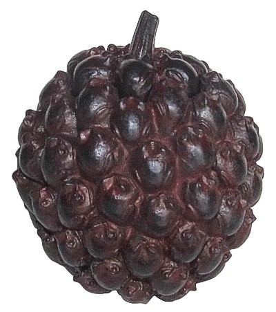 Frogberry