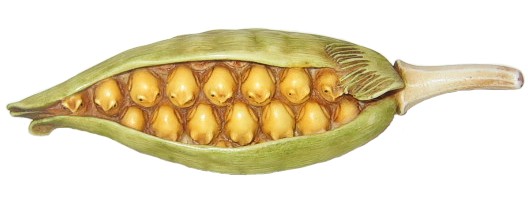 Frog On The Cob