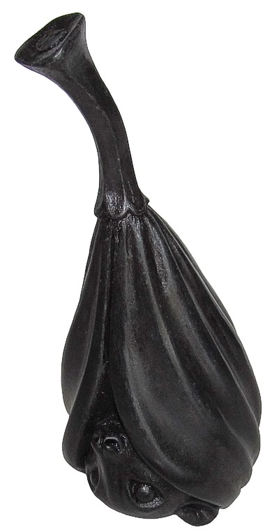 Fruit Bat