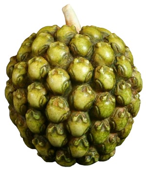 Frogberry - Ivory