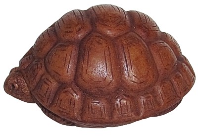 Tortoise - Brown Palm Charm