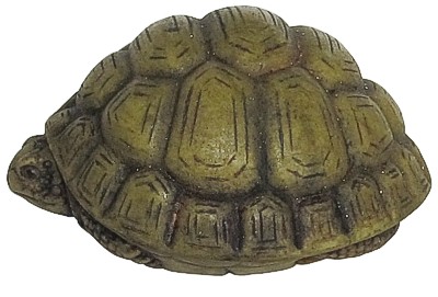 Tortoise - Green - Palm Charm