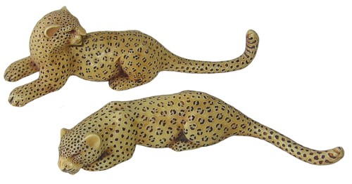 Mr. & Mrs. Leopard