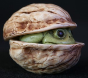 Frog In Walnut