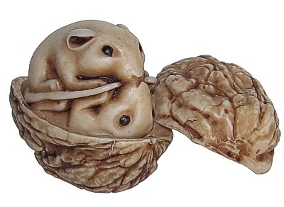 Mice In Walnut