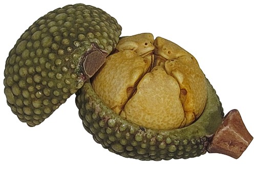 Frog Pod