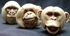 Monkey Mask Set