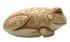 toad