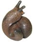 abe08-pc-snail-e