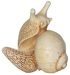 abe08-pc-snail-i