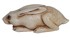 abe10-pc-hare