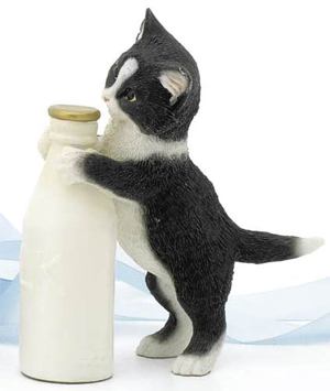 Kitten With Milk Bottle