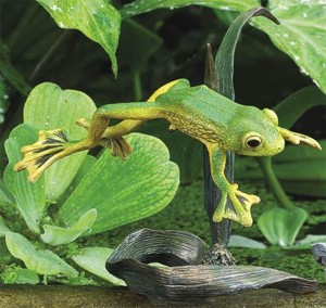 Wallace's Flying Frog
