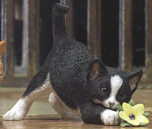 February Kitten