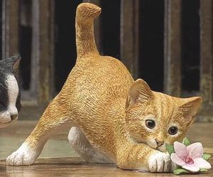 June Kitten