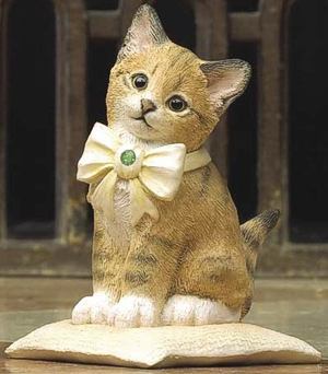 August Kitten