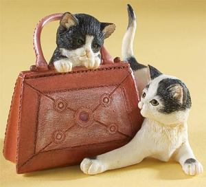 Kitten Pair In Purse