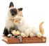 ca04664