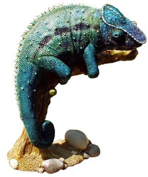 Masquerade The Chameleon - Blue