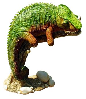 Masquerade The Chameleon - Rainbow