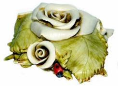 Love At Rosemont Rose - Ivory
