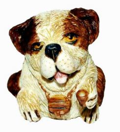 Brandy The St. Bernard