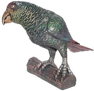 Luis The African Grey Parrot - Overlay