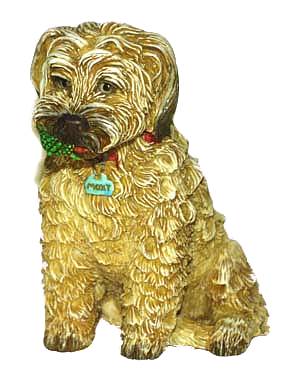 Moxy The Long Haired Wheaton Terrier