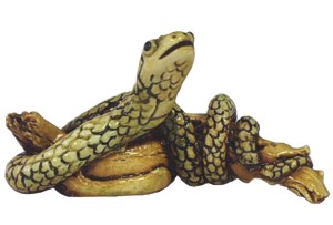 Snake On Branch