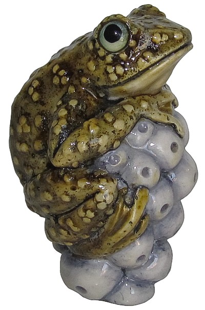 Toad On Spawn