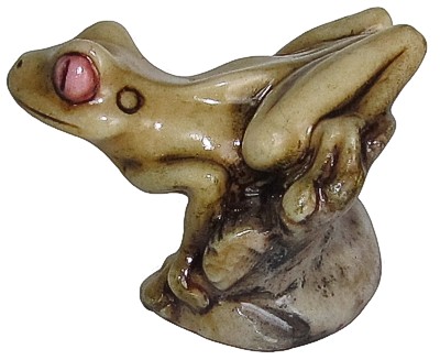 Tree Frog