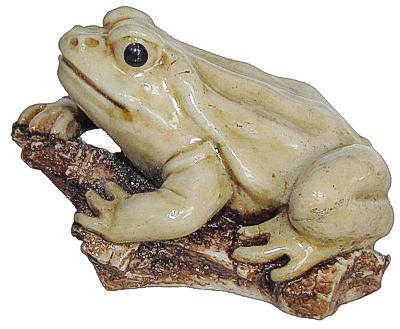 Toad On Log