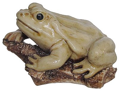 Toad On Log