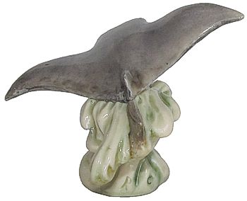 Manta Ray