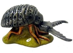Ant Lion