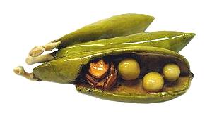 Frog In Pod