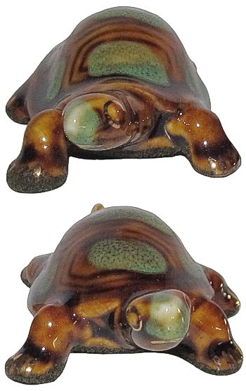 Baby Turtles - Set Of Two