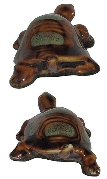 Baby Turtles - Set Of Two