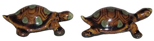 Baby Turtles - Set Of Two