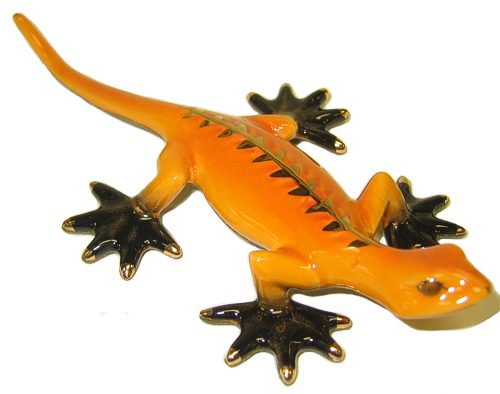 Golden Gecko