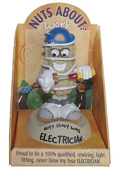 Electrician