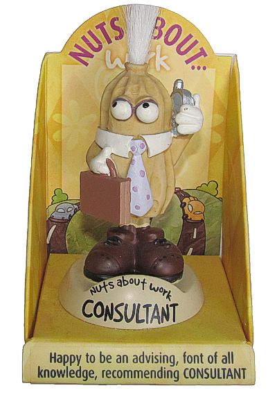 Consultant
