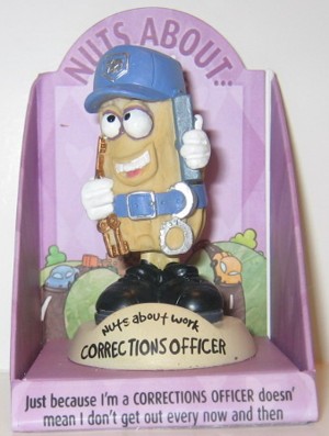 Corrections Officer