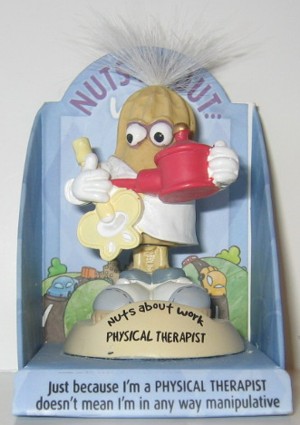 Physical Therapist