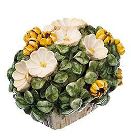 Gardenia